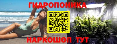 прущие грибы Берёзовский