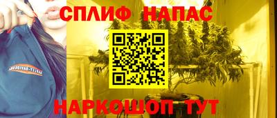 прущие грибы Берёзовский