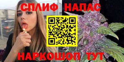 кокс Бийск
