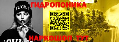 кокс Бийск